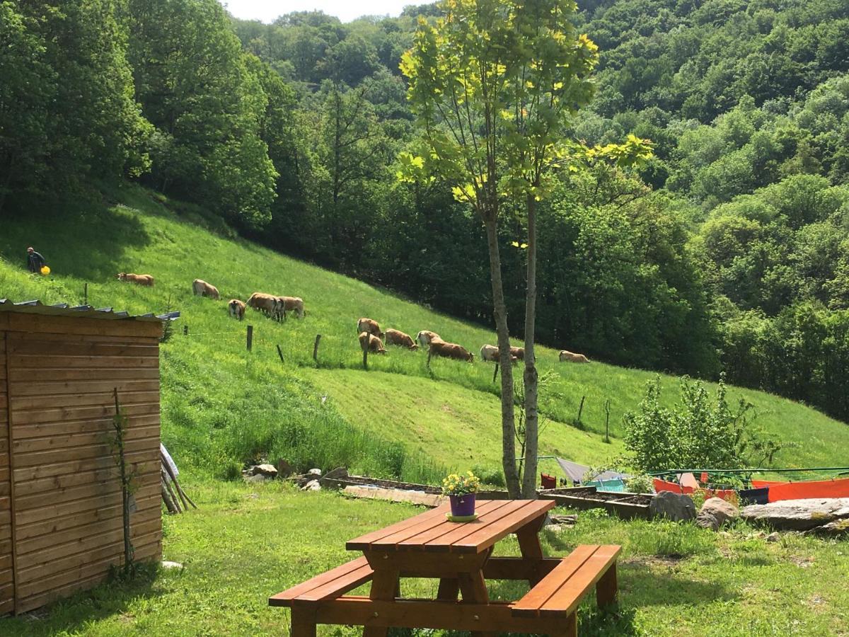 Chambres D'Hotes Le Lepadou-Bas Saint-Chély-dʼAubrac Εξωτερικό φωτογραφία