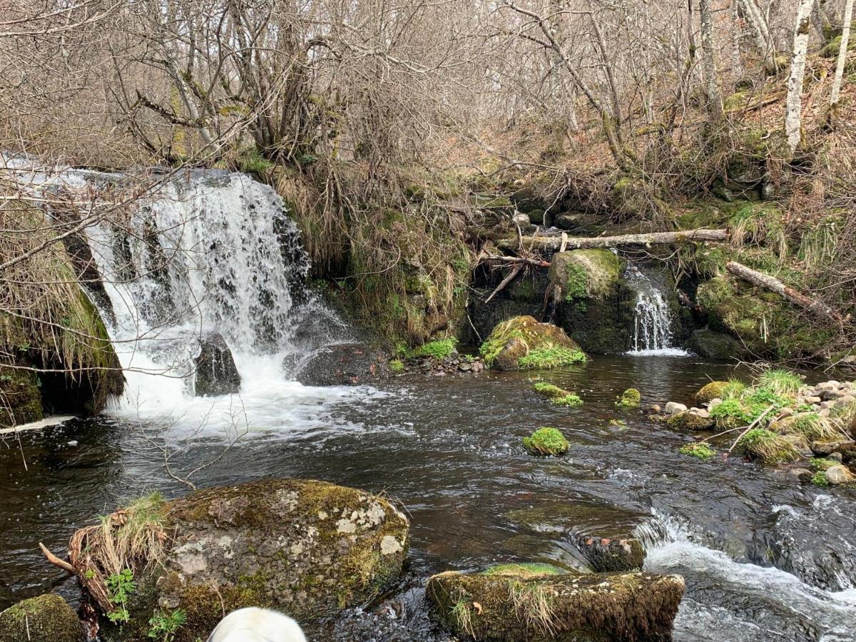 Chambres D'Hotes Le Lepadou-Bas Saint-Chély-dʼAubrac Εξωτερικό φωτογραφία