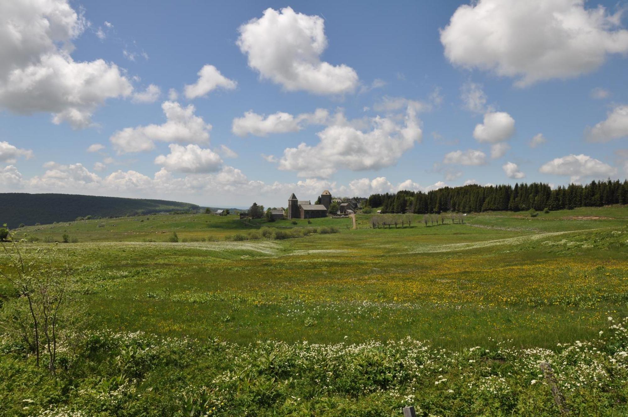 Chambres D'Hotes Le Lepadou-Bas Saint-Chély-dʼAubrac Εξωτερικό φωτογραφία